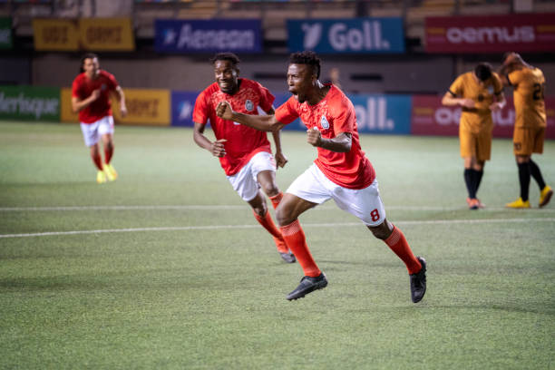 拉维亚表示 拉维亚表示